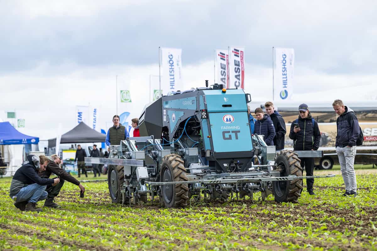 csm_DLG-Felttage2024_JAWORR_DSC_2334_e2a1f0f751