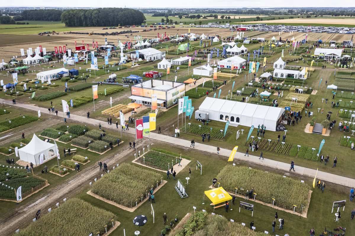 csm_Feldtage2024_JAWORR_DJI_0404_251ce04925